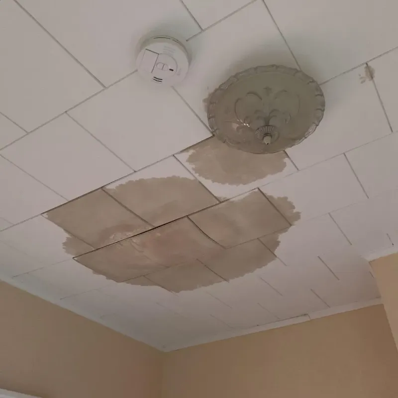 Ceiling Water Damage Repair in Orleans County, VT