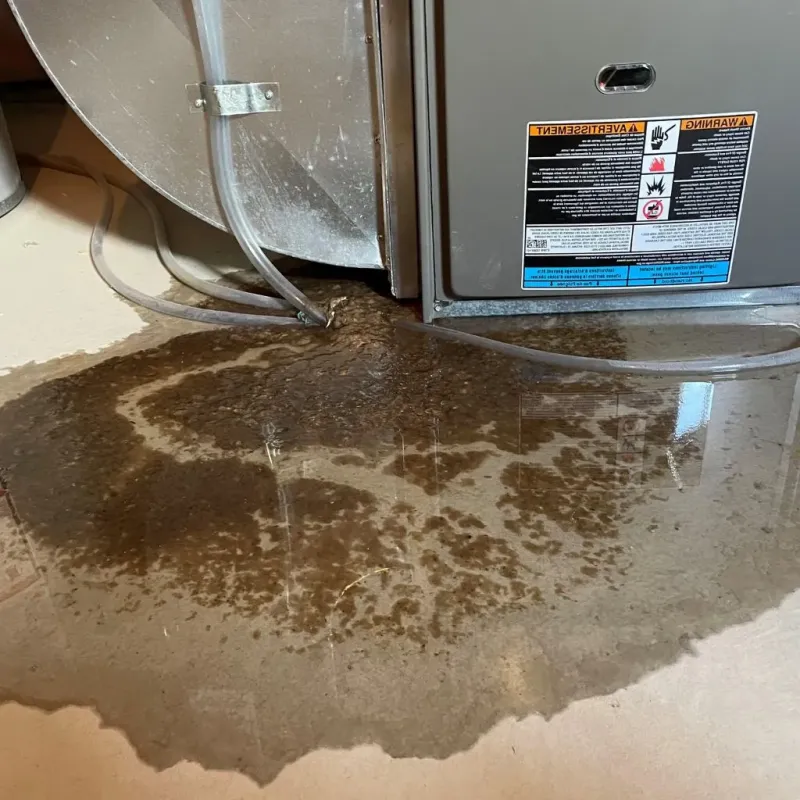 Pipe Burst and Leak Restoration in Orleans County, VT