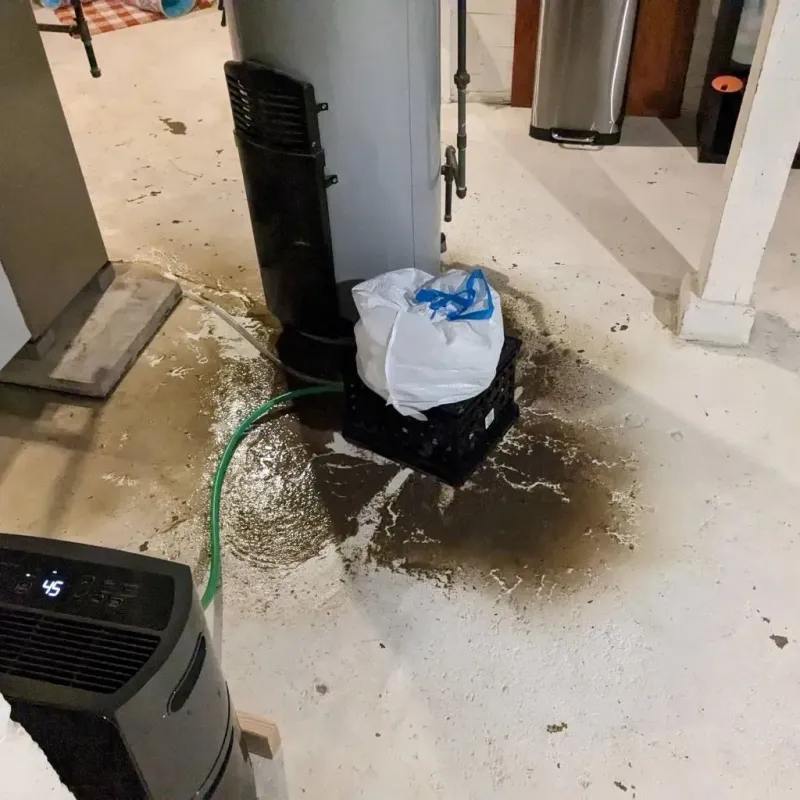 Sewage Backup Cleanup Service in Orleans County, VT